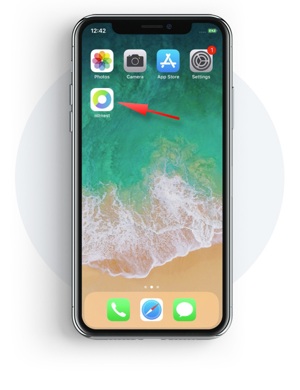 Launch the application from a shortcut created in Safari